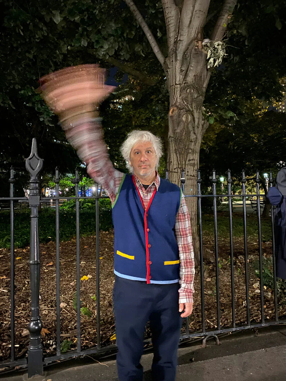 LEOROSA, article: LEE RANALDO (thumbnail)